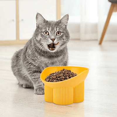 Chat utilisant gamelle Anti-tipCatBowls jaune confortable