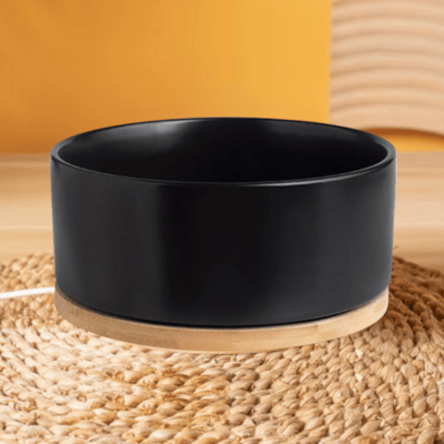 Gamelle pour chat WarmSipCatBowl noir - maintient la température des aliments