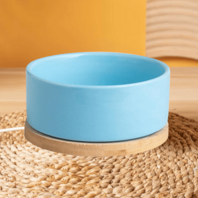 Gamelle pour chat WarmSipCatBowl bleu - maintient la température des aliments