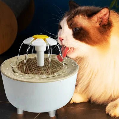 Chat utilisant fontaine CatDrinker bois blanc hydratation