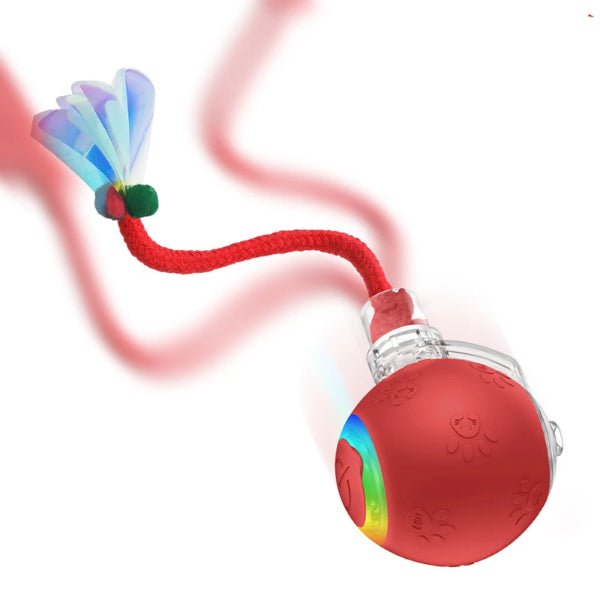 balle interactive pour chat avec plume et lumière LED affichant le jouet automatique en détail