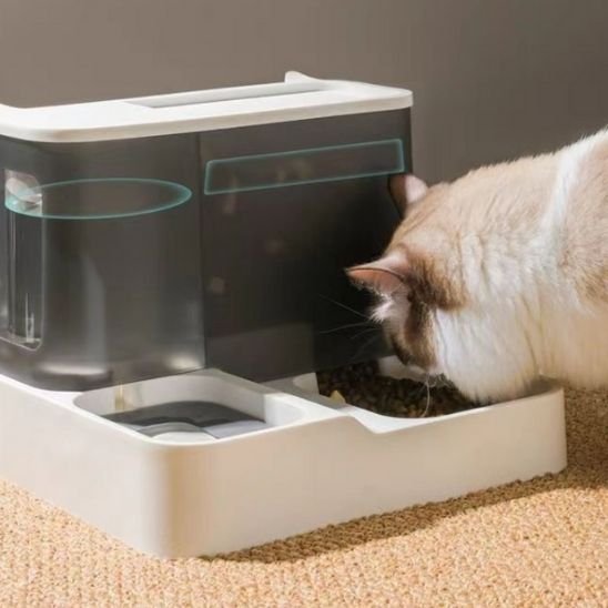 Chat mangeant distributeur automatique 2-en-1