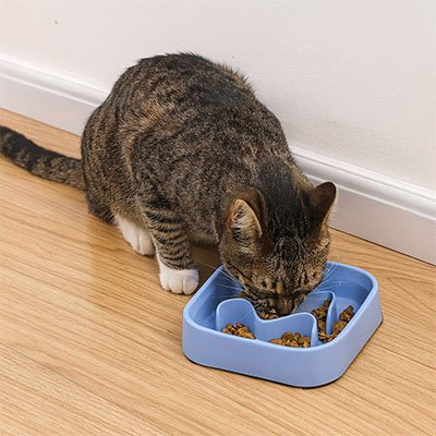 Chat mangeant gamelle anti-glouton PetSafe antidérapante