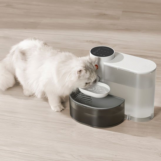 Chat gris buvant dans une fontaine à eau silencieuse en plastique blanc