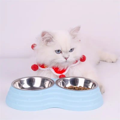 Gamelle chat design ergonomique bleue vue principale