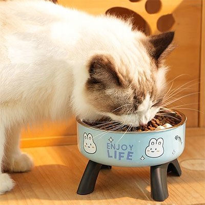 Gamelle surélevée chat confort articulaire