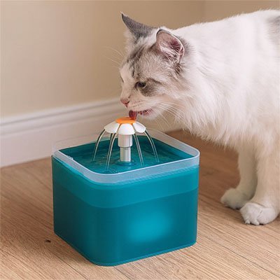 Système de filtration de la fontaine à eau chat