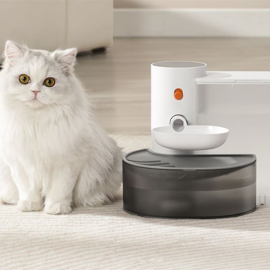 chat aime la fontaine à eau