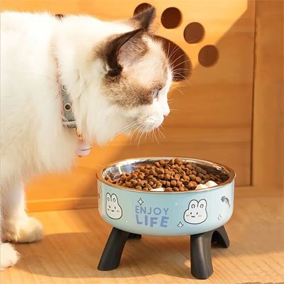 Design élégant gamelle chat surélevée ErgoDigest