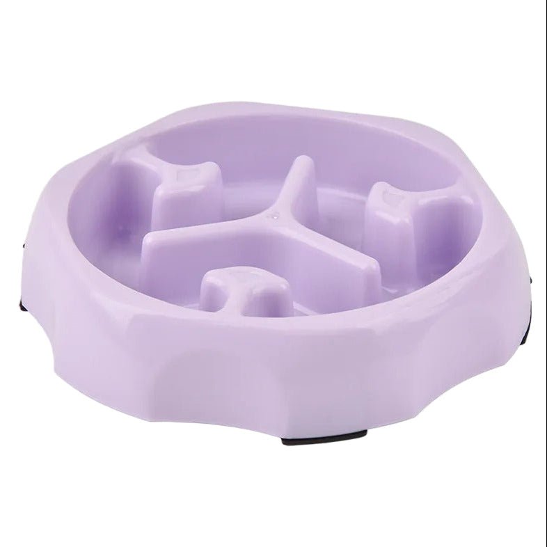 Vue dessus gamelle anti-glouton chat PetSafe violet motif relief digestion lente