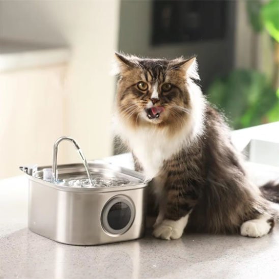 Fontaine à eau pour chat en acier inoxydable avec un système de filtration