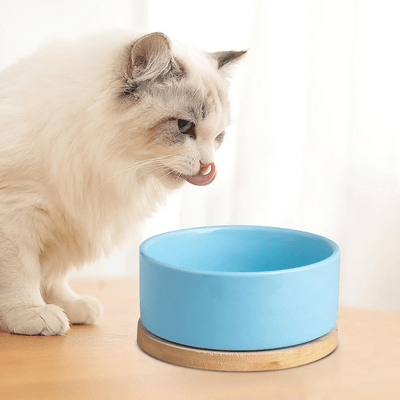 Gamelle WarmSipCatBowl bleu vue détaillée confortable
