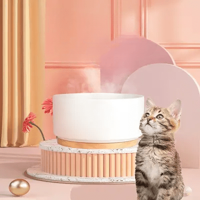 Gamelle chat WarmSipCatBowl blanc - design ergonomique et antidérapant
