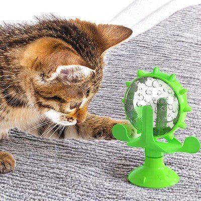 Chat mangeant avec distributeur WhirlCatFeeder vert