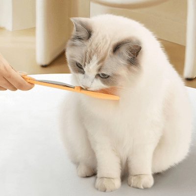 Distributeur nourriture chat MeowSpoon facile utiliser
