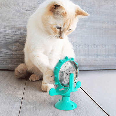Distributeur WhirlCatFeeder vert système anti-glouton détaillé
