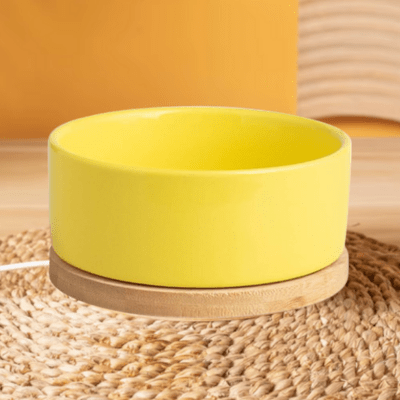 Gamelle chat WarmSipCatBowl jaune maintient température