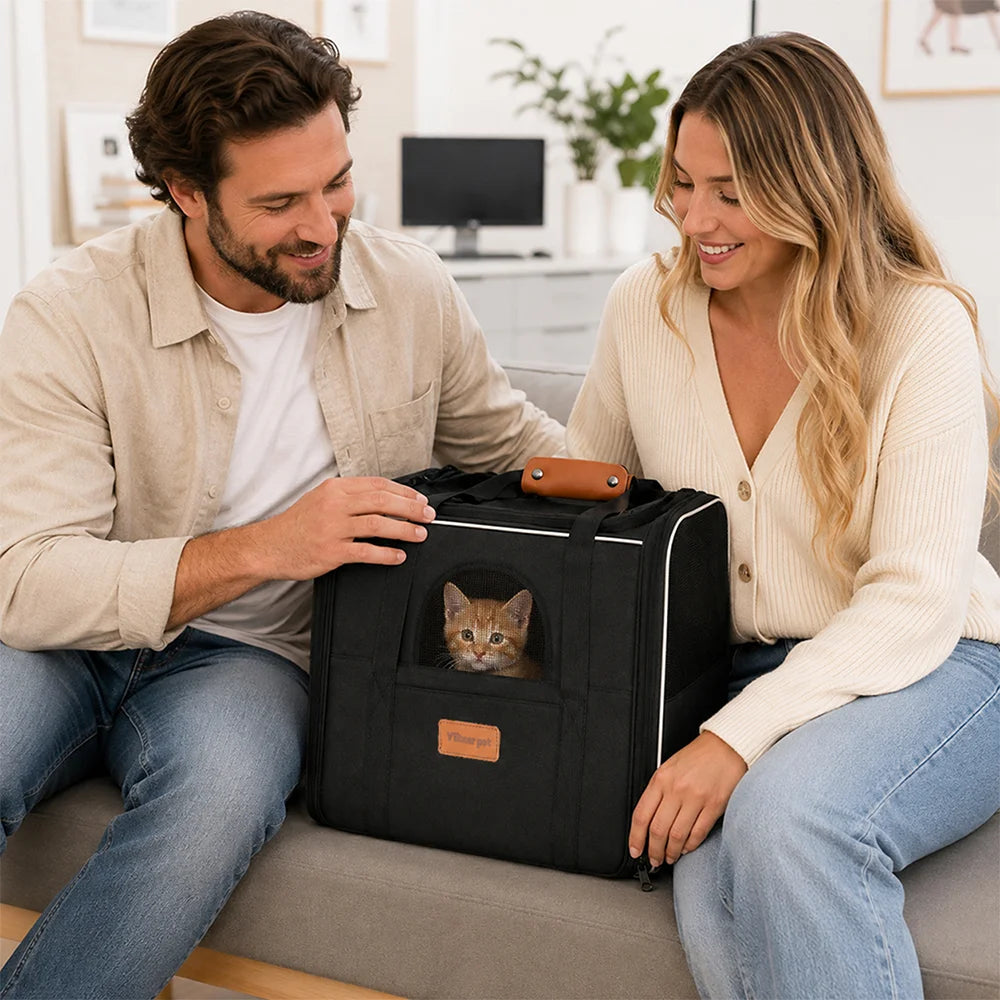 Chat dans un sac de transport noir avec fenêtre en filet, posé sur un canapé entre deux personnes.