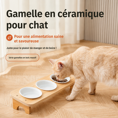 Gamelle chat surélevée double bol céramique sur support bois massif — chat beige mangeant des croquettes, gamelle ergonomique MiaouTable