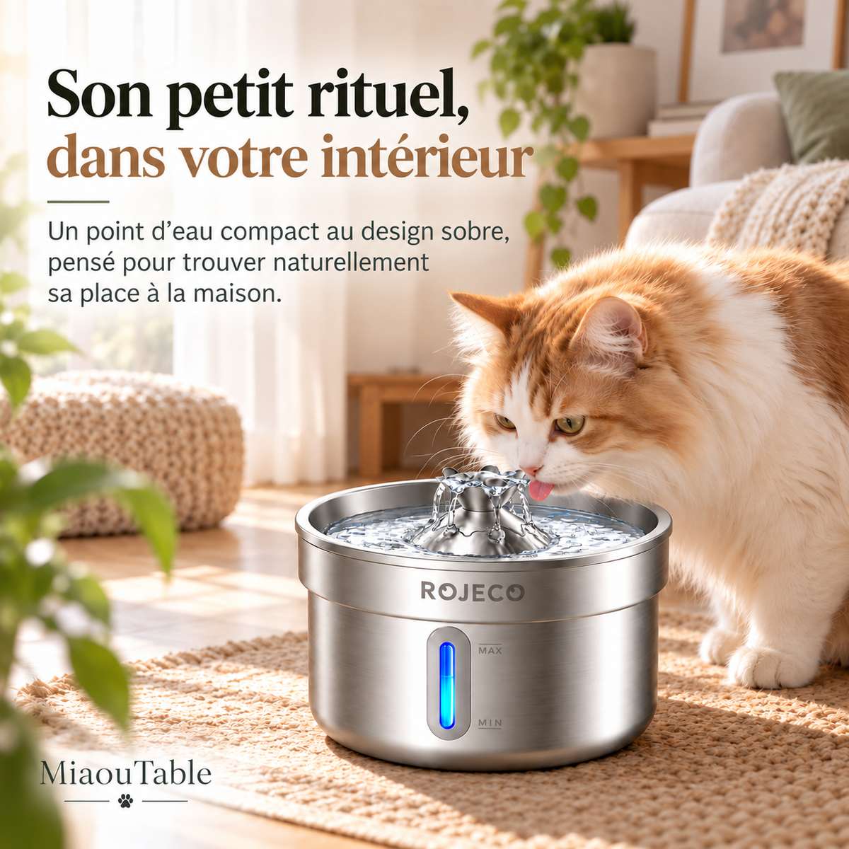 Chat roux et blanc buvant à une fontaine à eau en inox avec fenêtre de niveau lumineuse, dans un salon chaleureux.