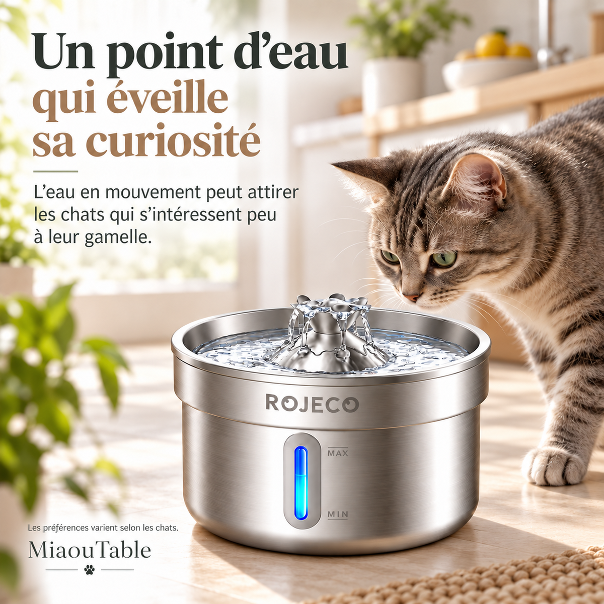 Chat tigré observant le jet d’eau central d’une fontaine en inox avec fenêtre de niveau lumineuse, dans un intérieur ensoleillé.
