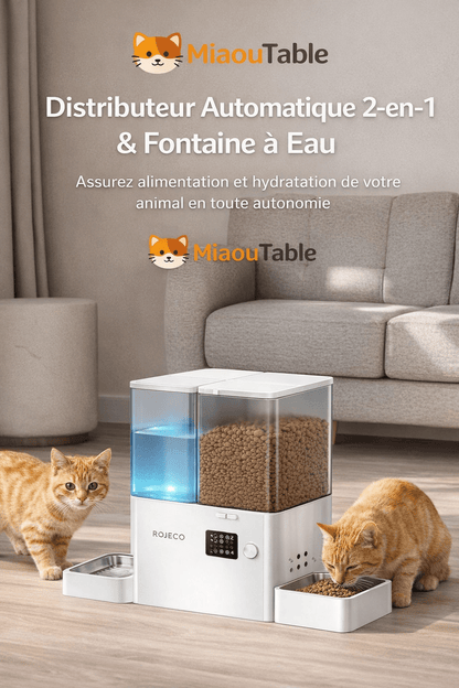 Distributeur automatique 2-en-1 ROJECO avec fontaine à eau et réservoir de croquettes, modèle blanc, deux chats en train de boire et mange