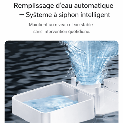 Illustration du distributeur ROJECO avec remplissage d'eau automatique utilisant un système à siphon pour maintenir un niveau d’eau stable.