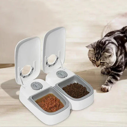 Chat tigré mangeant dans distributeur automatique 2 repas avec compartiments hermétiques - MiaouTable