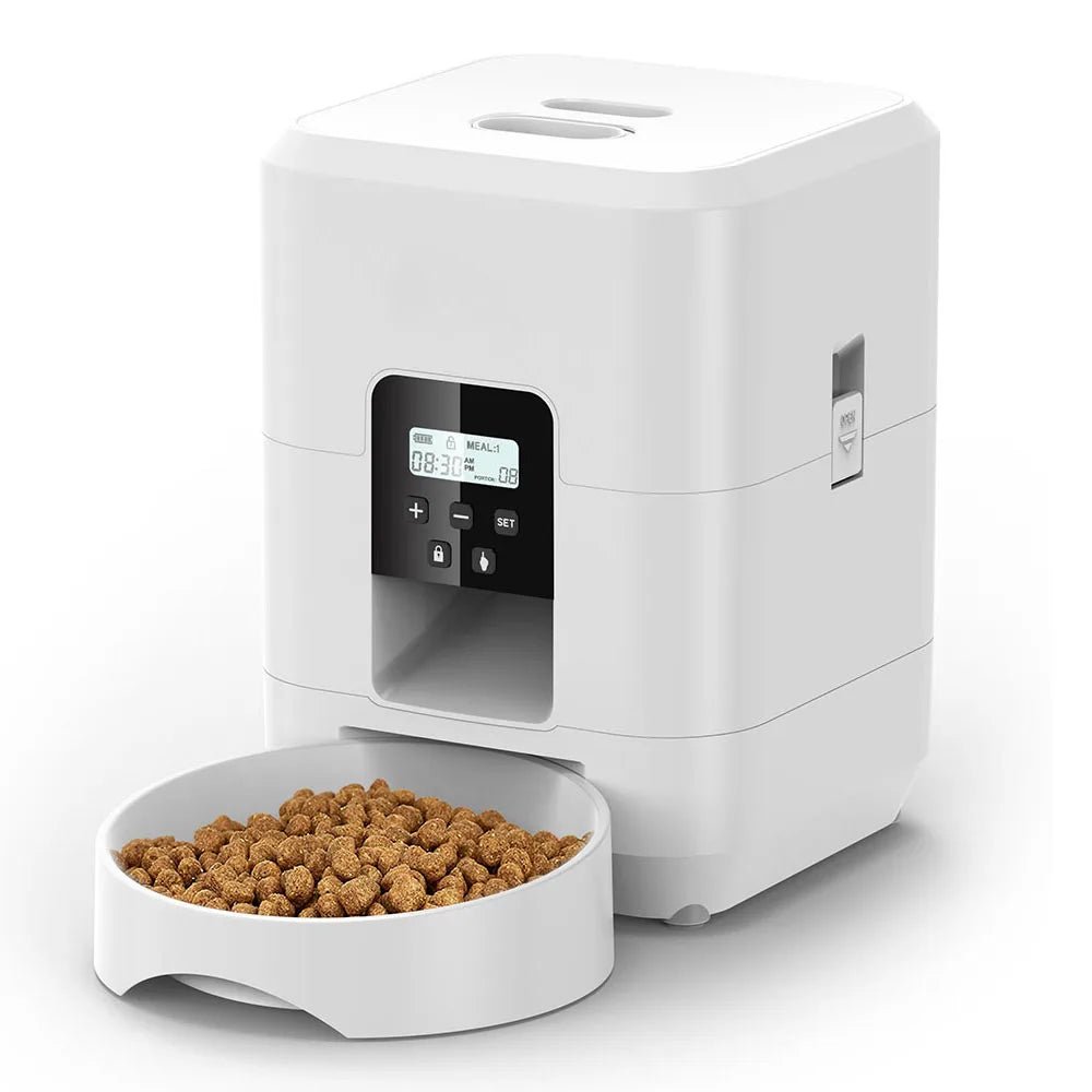 Distributeur automatique SmartFeeder blanc pour chat, modèle Bouton