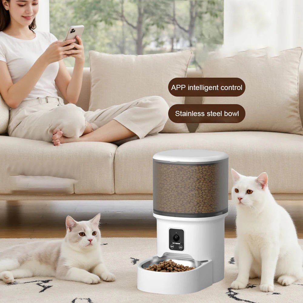 Chat blanc utilisant distributeur automatique WiFi portions contrôlées