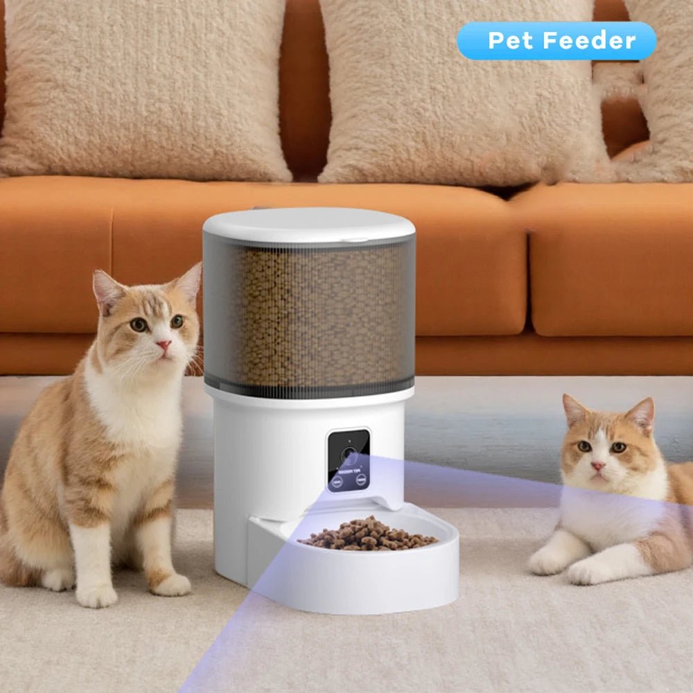 Distributeur croquettes chat WiFi ambiance lifestyle intérieur moderne avec camera