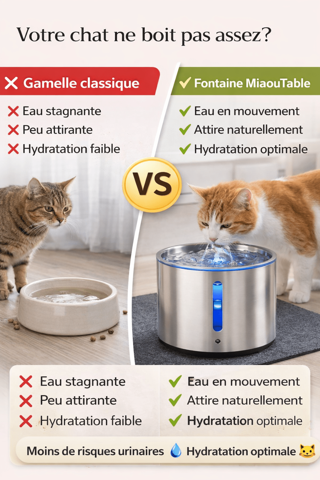 Comparaison gamelle classique vs fontaine à eau chat MiaouTable – eau en mouvement pour une meilleure hydratation
