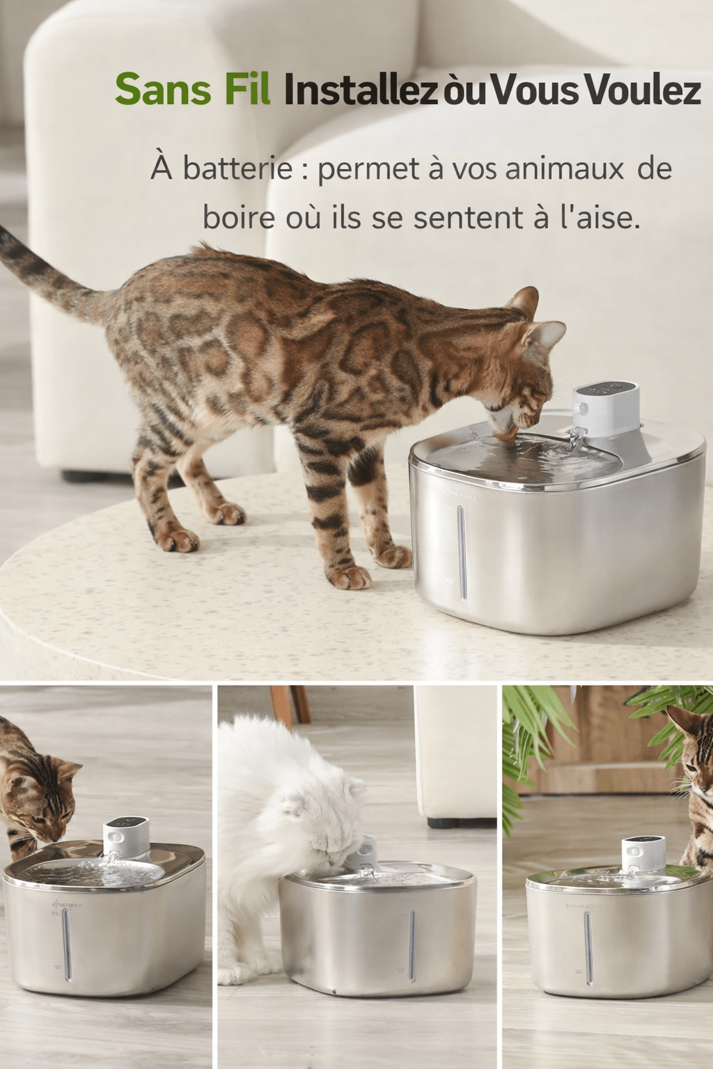 Fontaine à eau pour chat sans fil en inox, utilisable partout, avec plusieurs chats buvant dans différents environnements. Modèle premium MiaouTable.