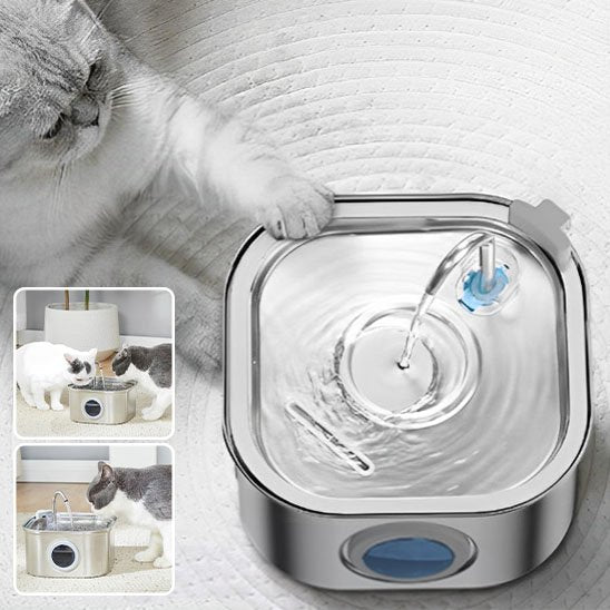 Chat buvant à la fontaine à eau avec circulation continue