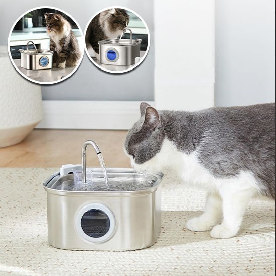 Fontaine à eau chat Aqua Silence ultra-silencieuse avec LED