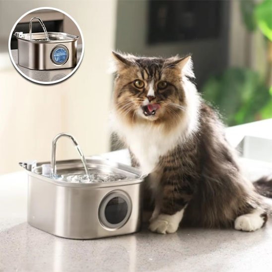 Fontaine à eau chat en acier inoxydable avec système de filtration
