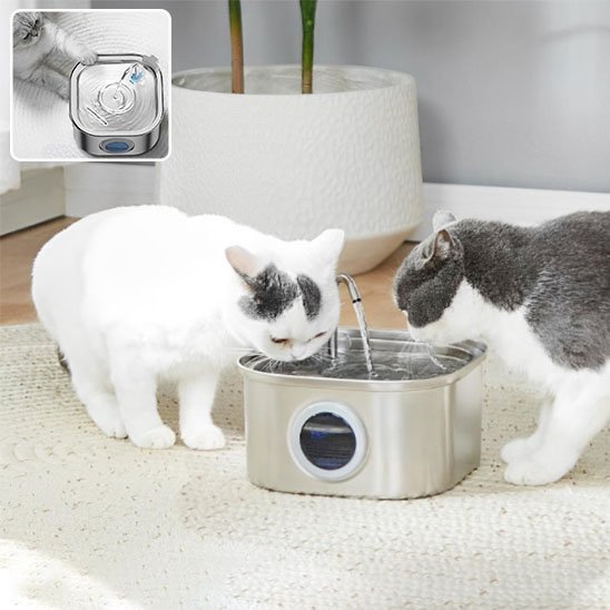 Fontaine à eau pour chat avec bassin large et design ergonomique