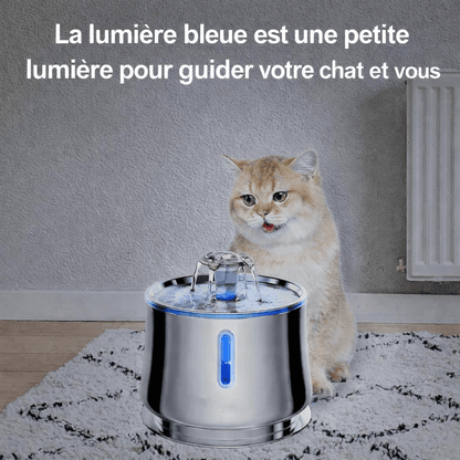 Image d'une fontaine à eau en inox avec lumière bleue LED, placée devant un chat assis sur un tapis, accompagnée du texte « La lumière bleue est une petite lumière pour guider votre chat et vous