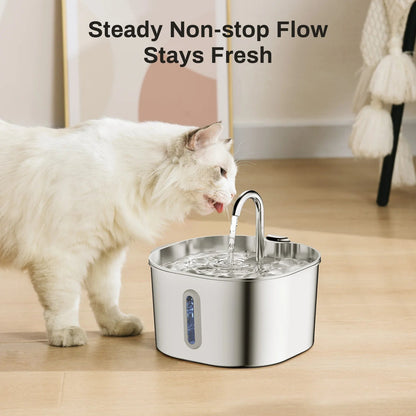 Fontaine à Eau Chat Inox AquaSquare™ 2,2L – Design Carré avec Fenêtre & Capteur Intelligent
