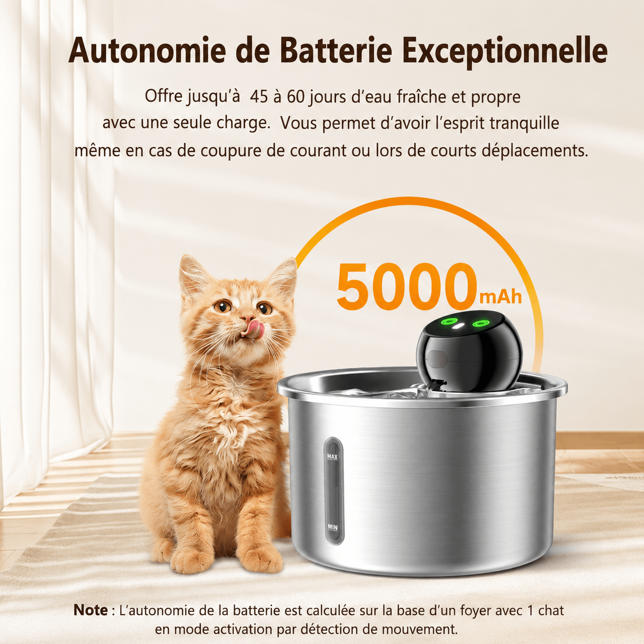 Chat assis à côté d'une fontaine à eau pour chat en acier inoxydable équipée d'une batterie rechargeable 5000 mAh offrant jusqu'à 60 jours d'autonomie.