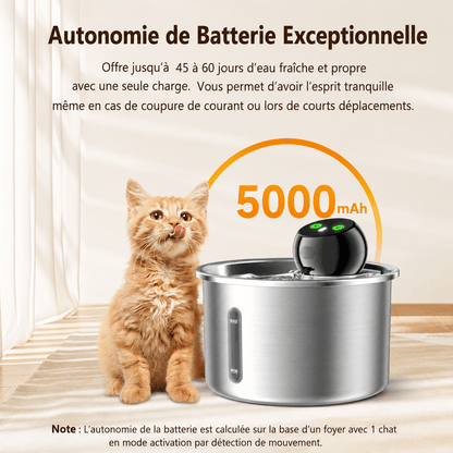 Chat assis à côté d'une fontaine à eau pour chat en acier inoxydable équipée d'une batterie rechargeable 5000 mAh offrant jusqu'à 60 jours d'autonomie.
