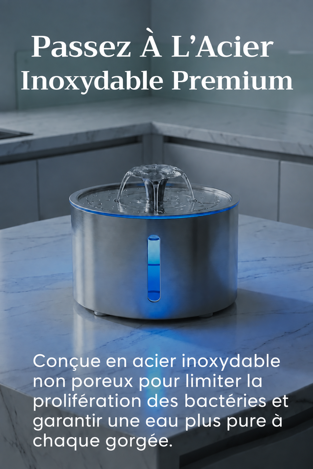 Fontaine à Eau pour Chat SilentFlow™ – Inox 304, 2,5 L