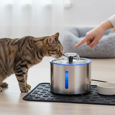 Fontaine chat 2,5L vue dessus circulation eau filtrée