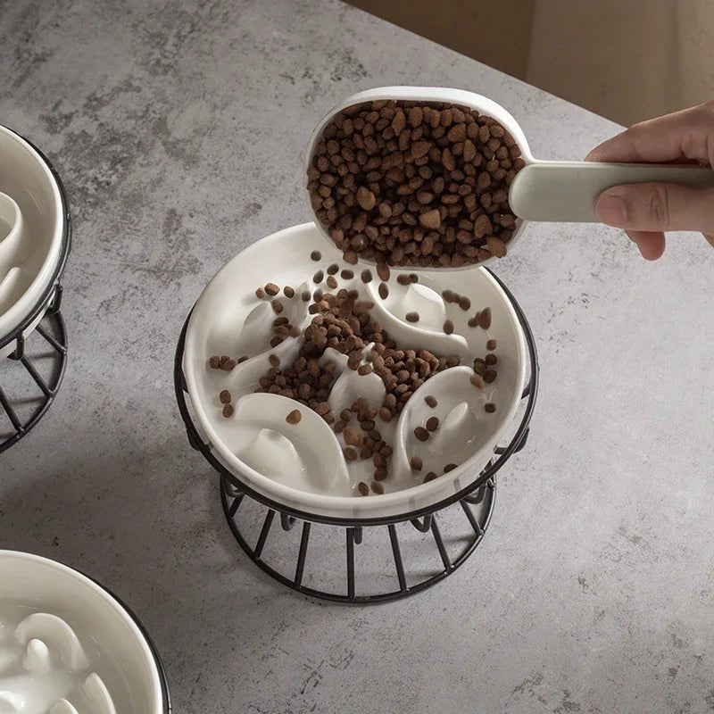 Gamelle anti-glouton céramique remplie croquettes chat design ralentisseur