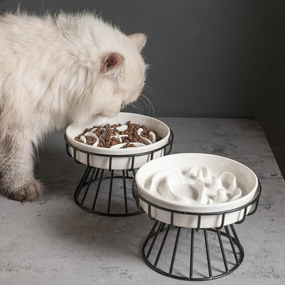 Chat blanc mangeant dans gamelle anti-glouton céramique surélevée sur support métal
