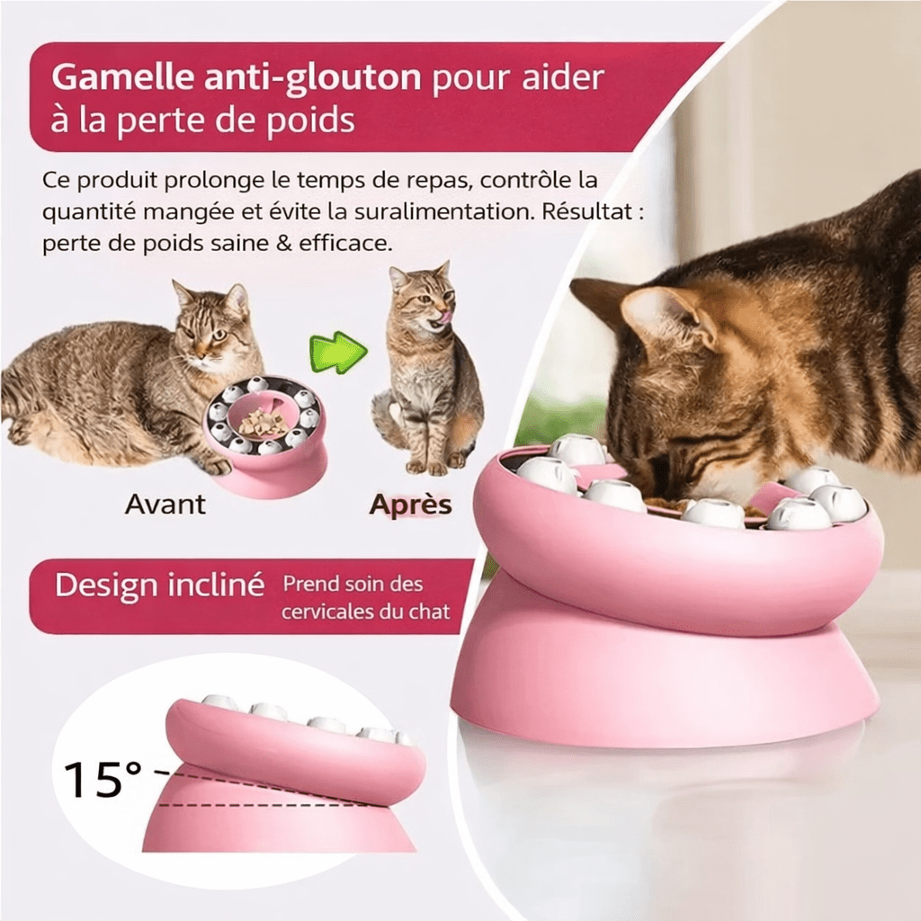 Gamelle anti-glouton pour chat aide à la perte de poids - Design incliné 15° protège les cervicales - Avant/après transformation chat