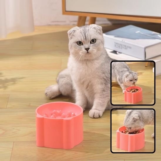 Gamelle anti glouton chat FeliBowl - ralentisseur alimentaire avec design fleur