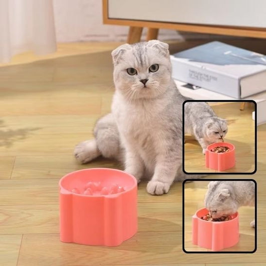 Gamelle anti glouton chat FeliBowl - ralentisseur alimentaire avec design fleur
