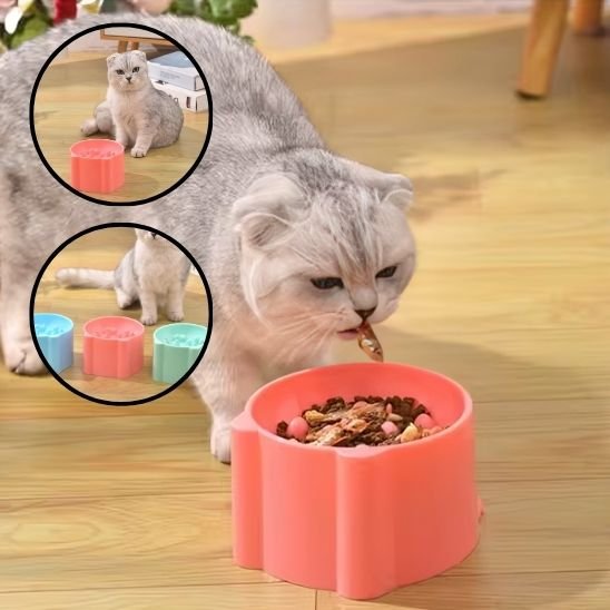 Gamelle anti glouton FeliBowl - vue détaillée des compartiments en pétales