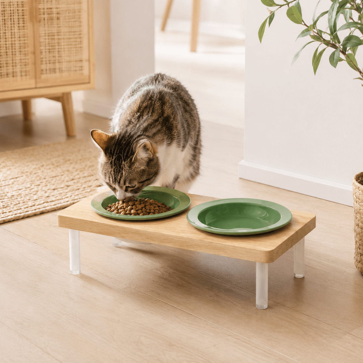 Chat tigré mangeant dans une gamelle surélevée verte sur support en bois dans une cuisine style scandinave lumineuse.